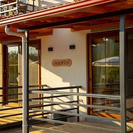 Okaliptus Villa *
